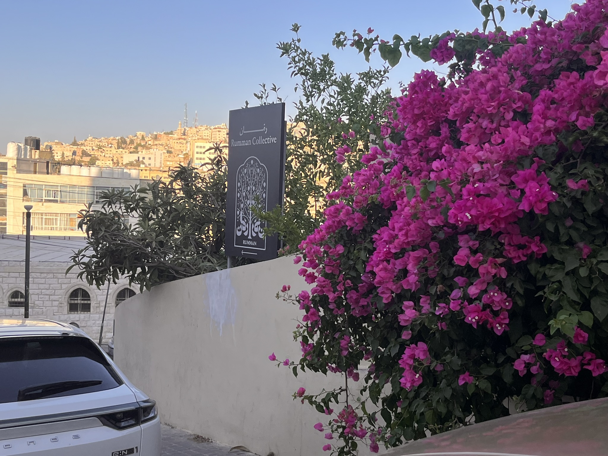 Rumman Collective sign on Rainbow Street Amman with pink bougainvillea flowers and city view