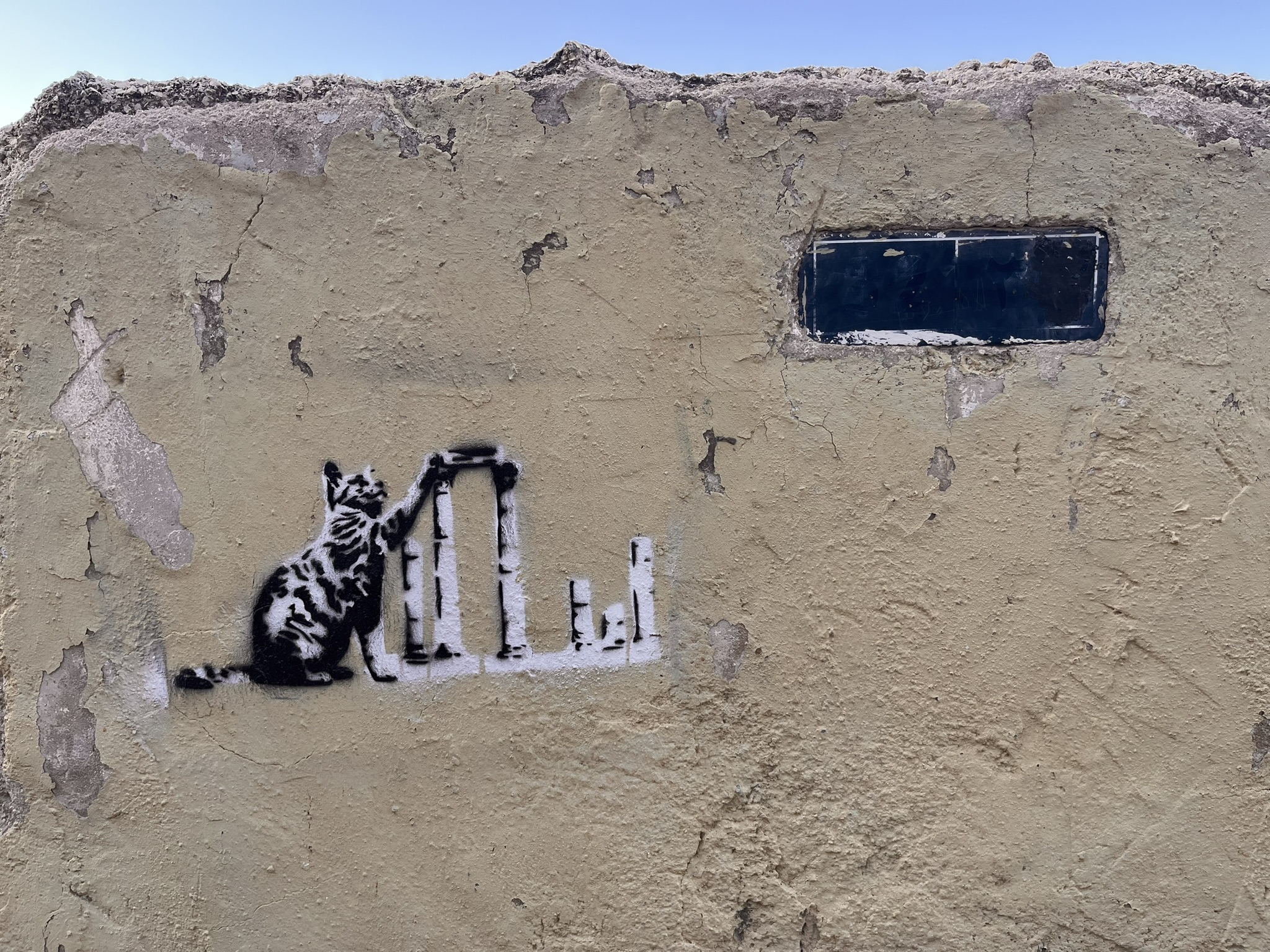 Banksy-style street art stencil of a cat on a wall in Weibdeh Amman